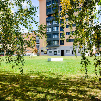 Zona verde exterior arbolada de 10.000 metros cuadrados